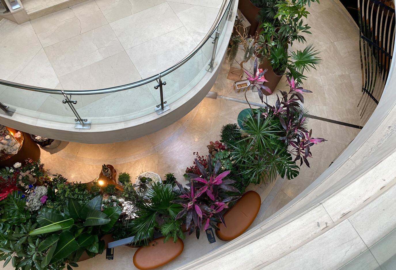 Curved planters and tropical plants in the atrium garden form a soft boundary and introduce a natural landscape experience into the underground commercial space.