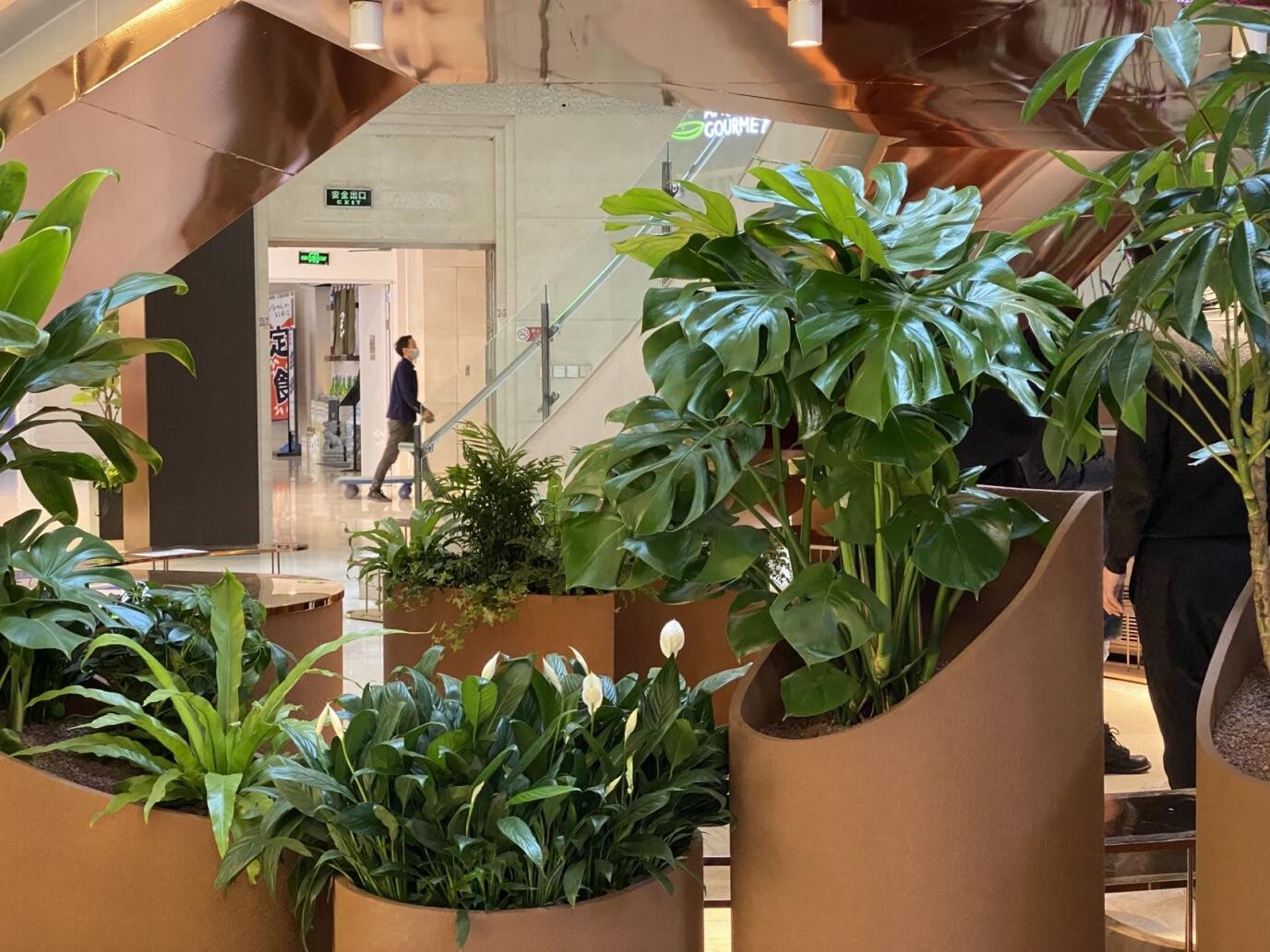 Planters, broad-leaf plants, and pedestrian circulation create a natural entrance scene and strengthen the attraction between the restaurant and mall atrium.