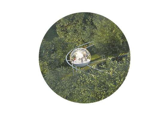 Transparent reading pod hidden within trees, where readers enter a focused state surrounded by nature.